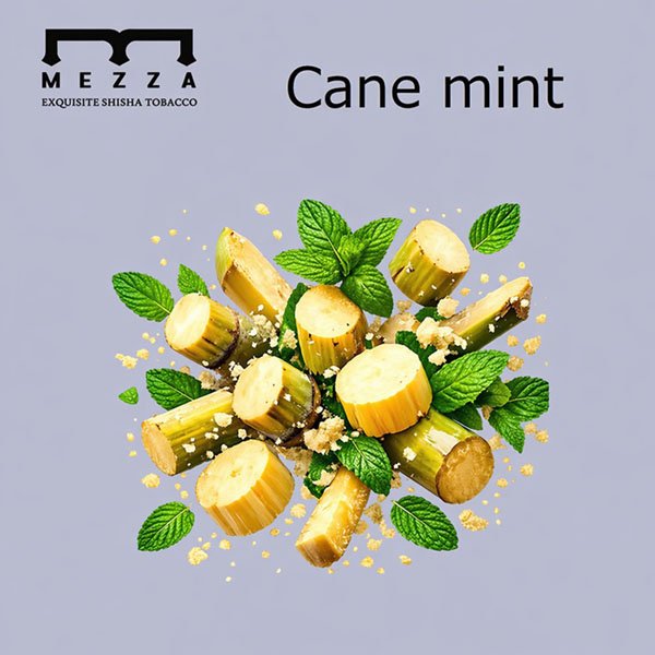 画像1: Cane mint ケインミント MEZZA メッツァ 100g (1)
