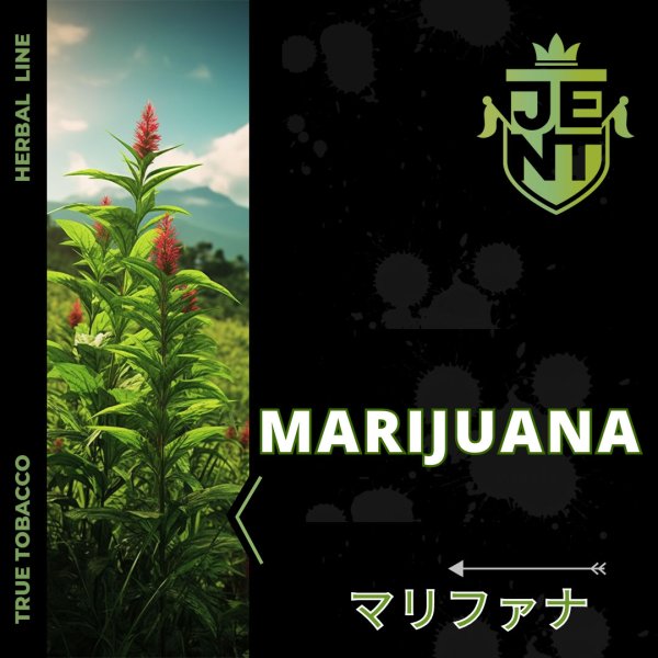 画像1: Marijuana マリファナ JENT 40g (1)