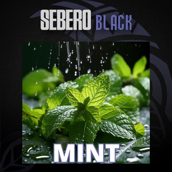 画像1: MINT ミント SEBERO BLACK 100g (1)