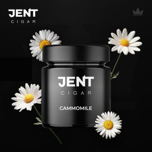 画像: CAMOMILE カモミール JENT Cigar 100g