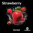 画像2: Strawberry ストロベリー Tombacco HERBAL 50g (2)