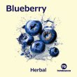画像1: Blueberry ブルーベリー Tombacco HERBAL 50g (1)