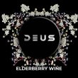 画像1: ELDERBERRY WINE エルダーベリーワイン DEUS 100g (1)