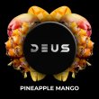 画像1: PINEAPPLE MANGO パイナップルマンゴー DEUS 100g (1)