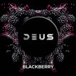 画像1: BLACKBERRY ブラックベリー DEUS 100g (1)