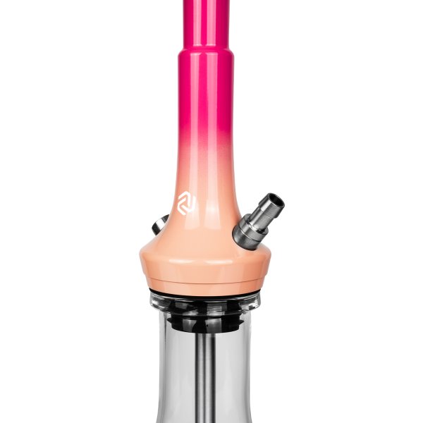 画像3:  アモーション Amotion Dopper Coral (3)