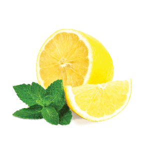 画像1: Lemon Mint レモンミント FUMARI 100g (1)