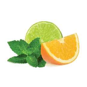 画像1: Citrus Mint シトラスミント FUMARI 100g (1)